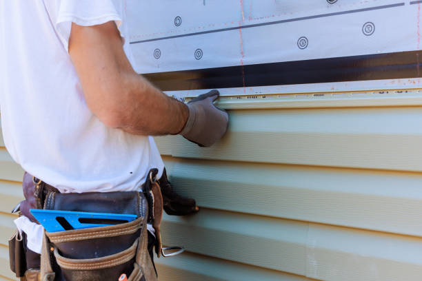 Best Stucco Siding  in Ellisville, MS